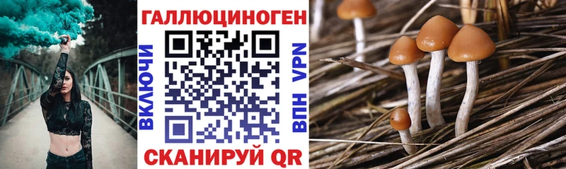 Купить закладки  Закаменск  Галлюциногенные грибы ЛСД 
